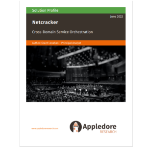 Solution Profile: Netcracker in Cross Domain Service Orchestration